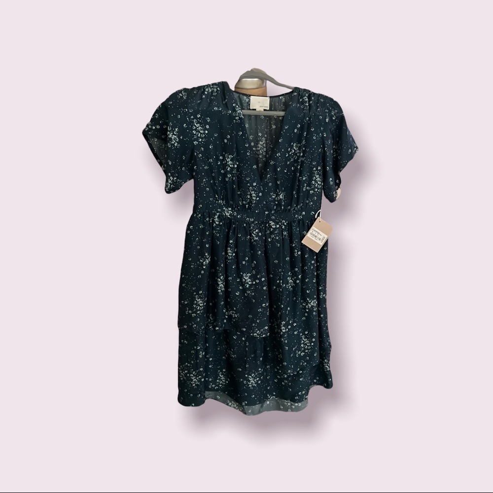 Band of Outsiders dress size 3 Medium silk girl. Prariecore. Ditzy floral A0032